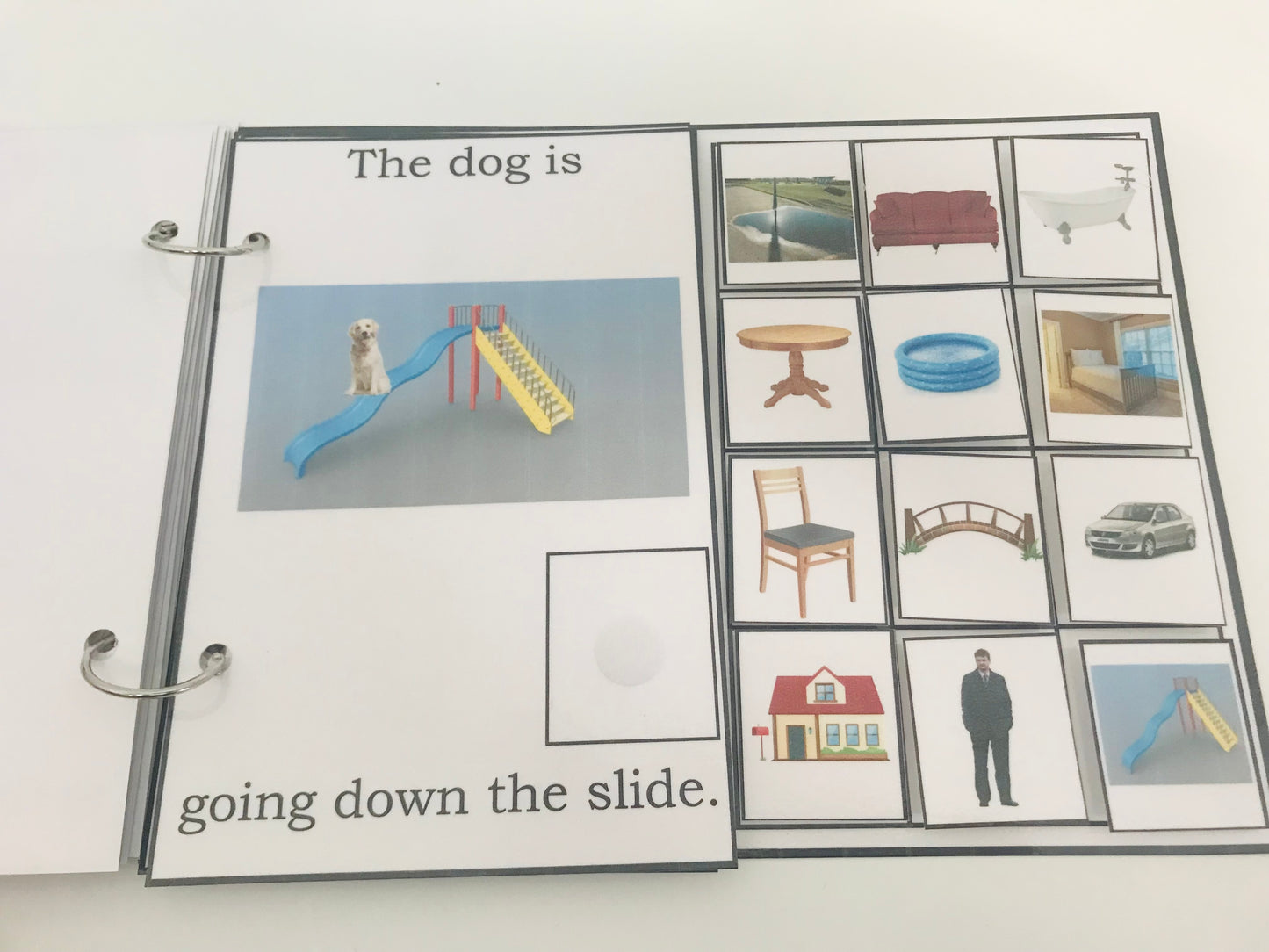 Where Is the Dog- Interactive Book