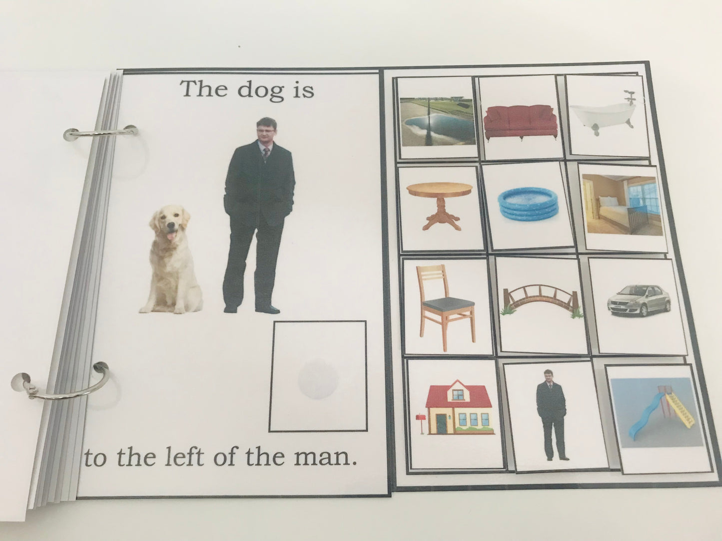 Where Is the Dog- Interactive Book