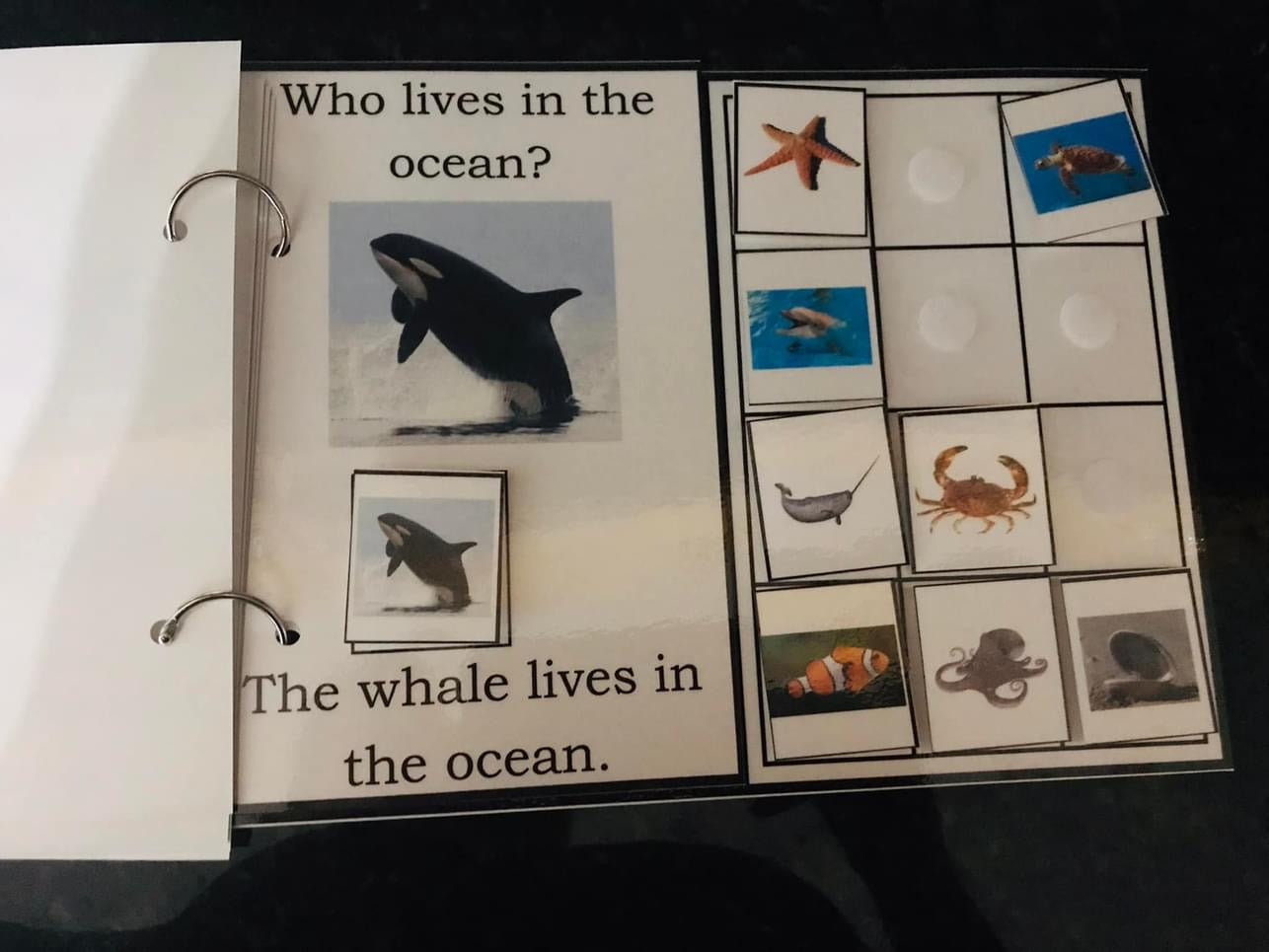 Who Lives in the Ocean