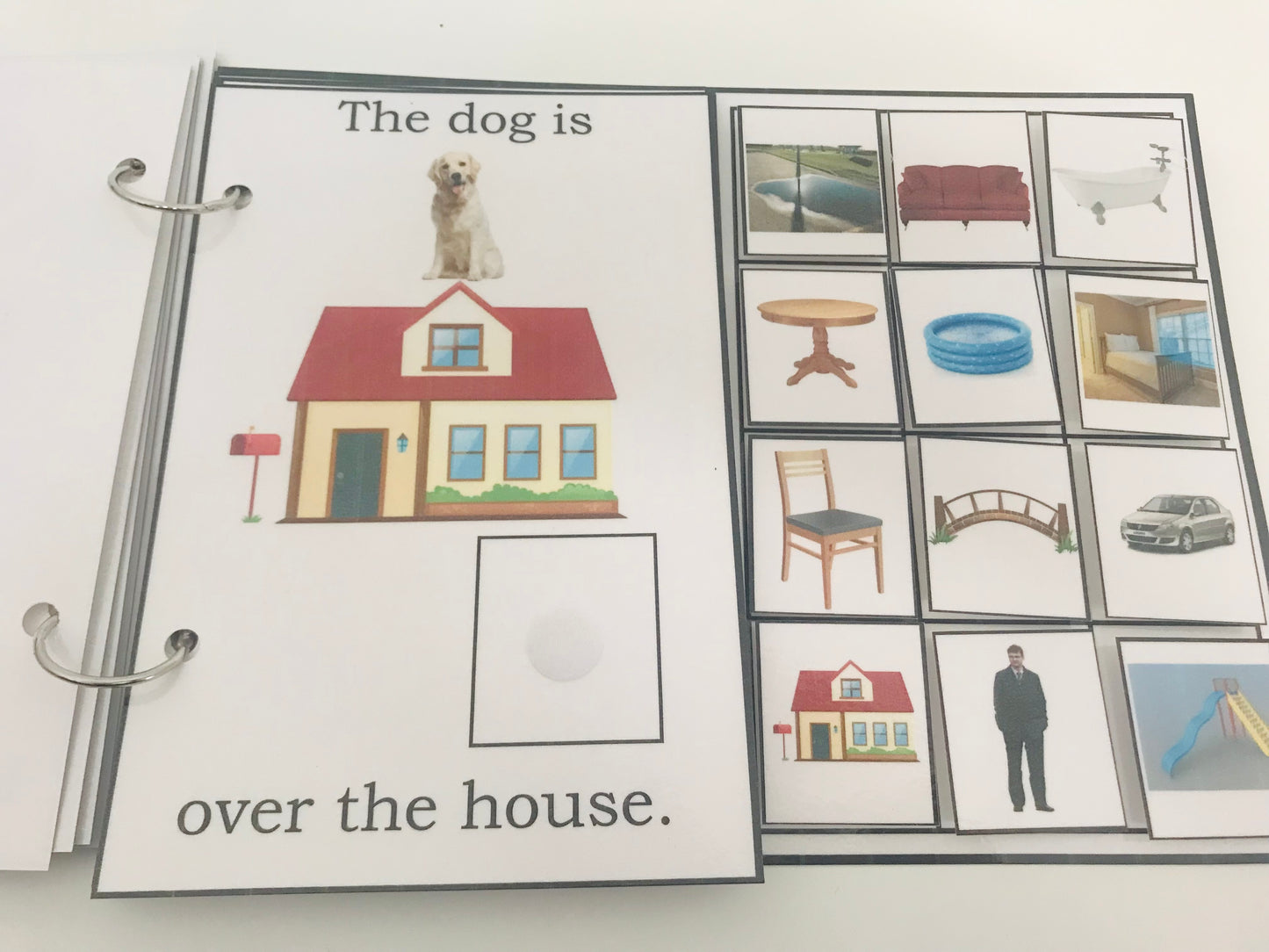 Where Is the Dog- Interactive Book