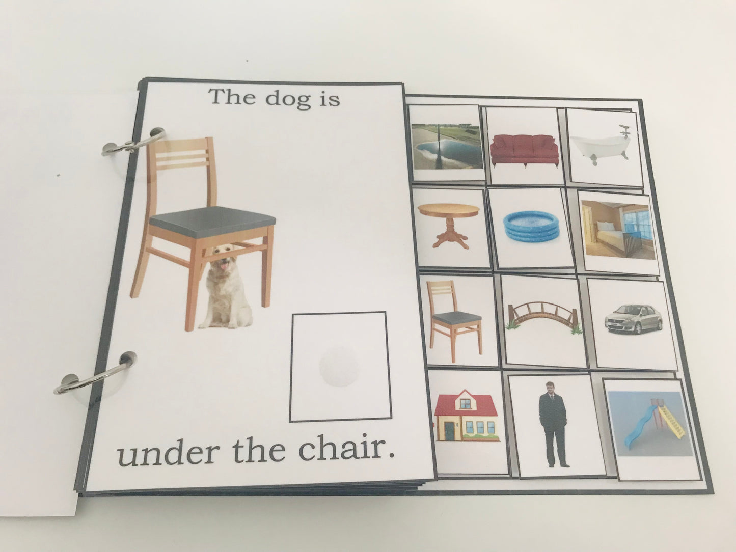 Where Is the Dog- Interactive Book