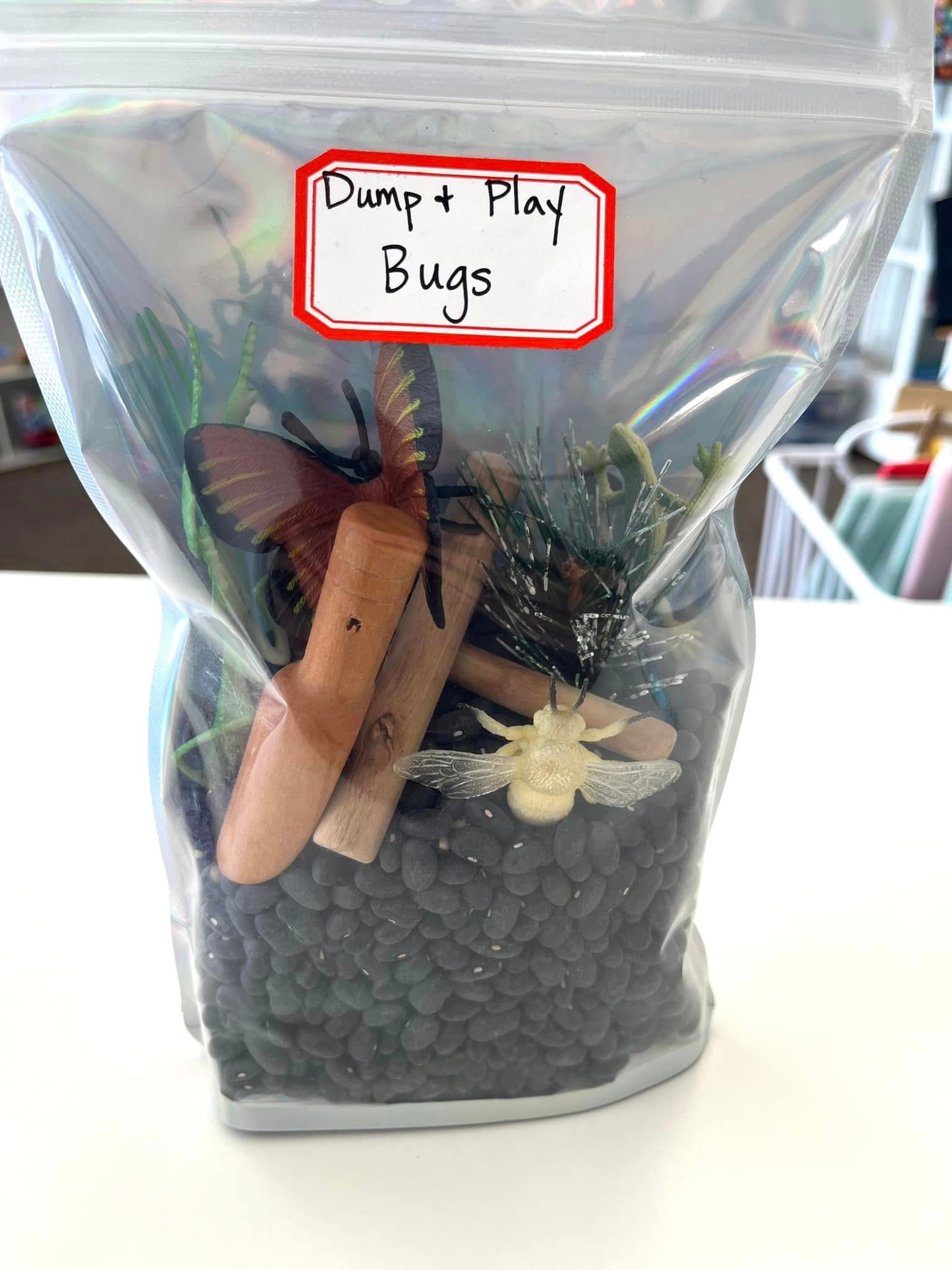 Bugs Dump and Play Bag