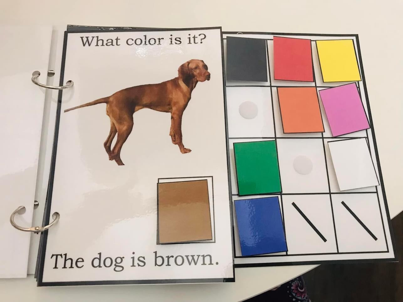 I Know My Colors-Interactive Book