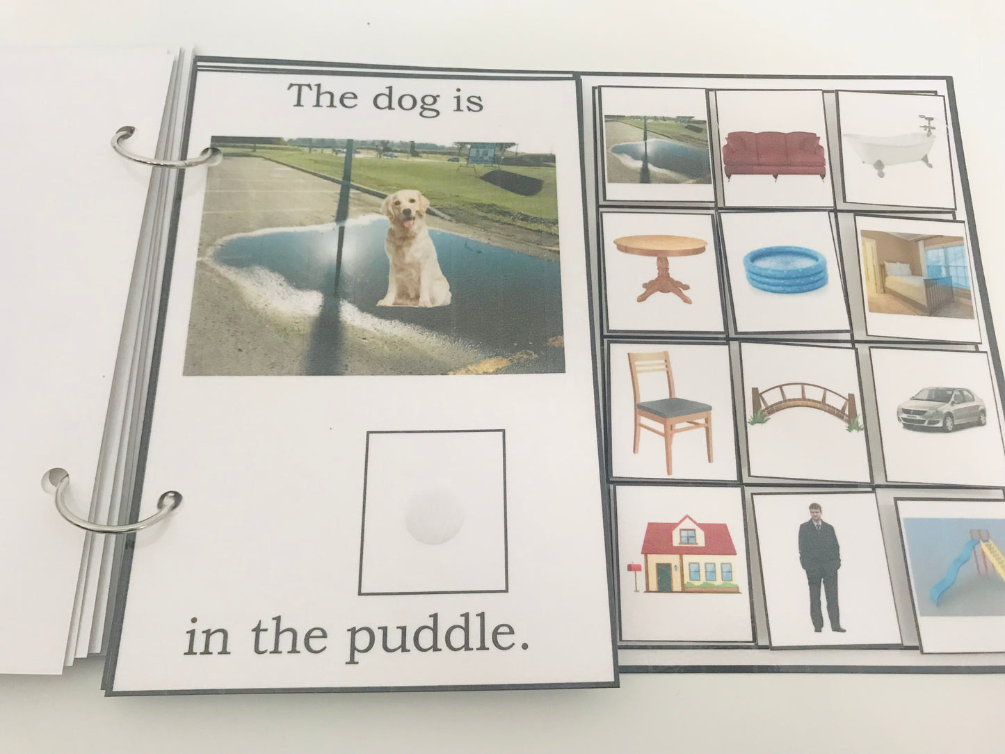 Where Is the Dog- Interactive Book