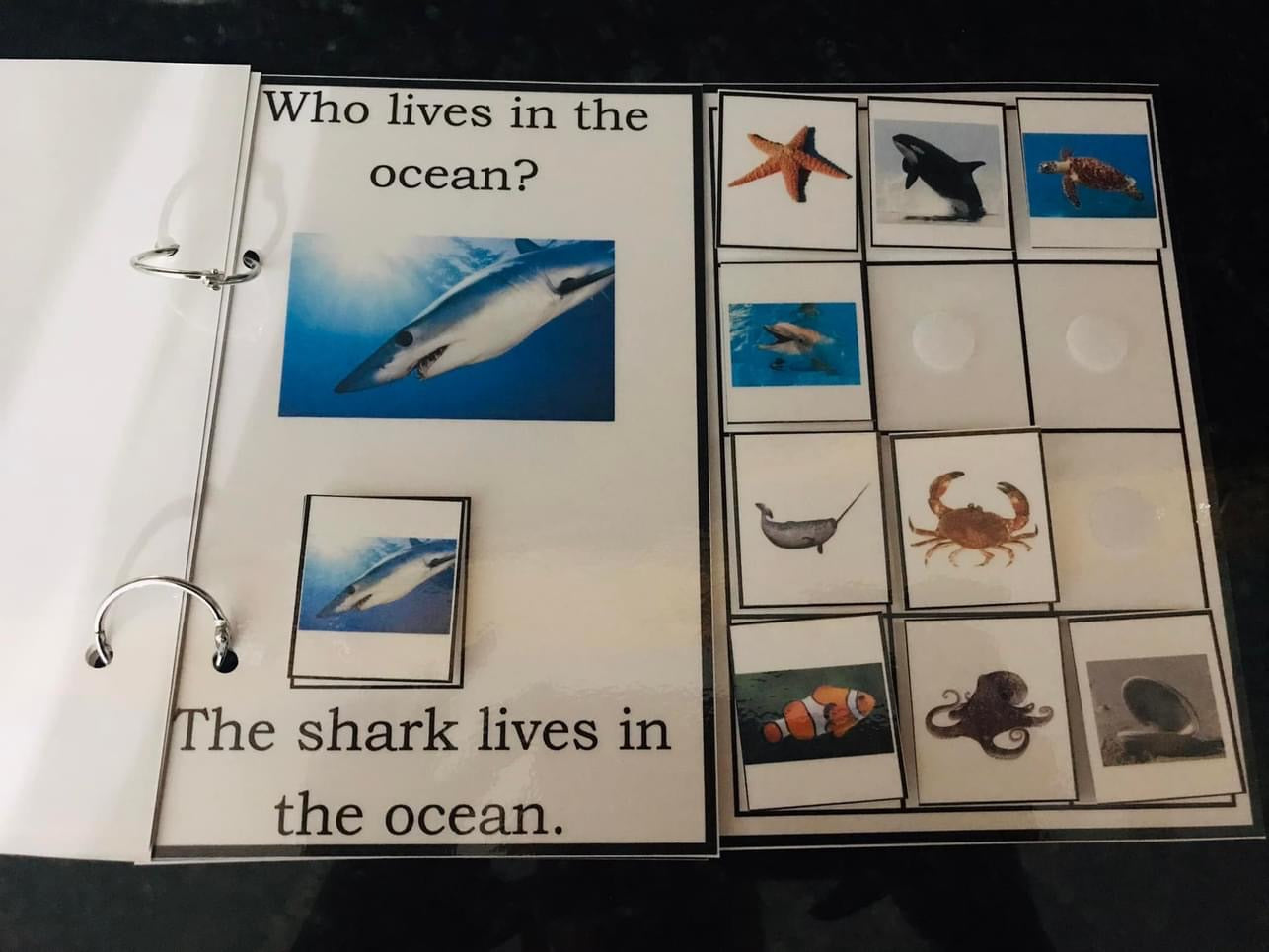 Who Lives in the Ocean