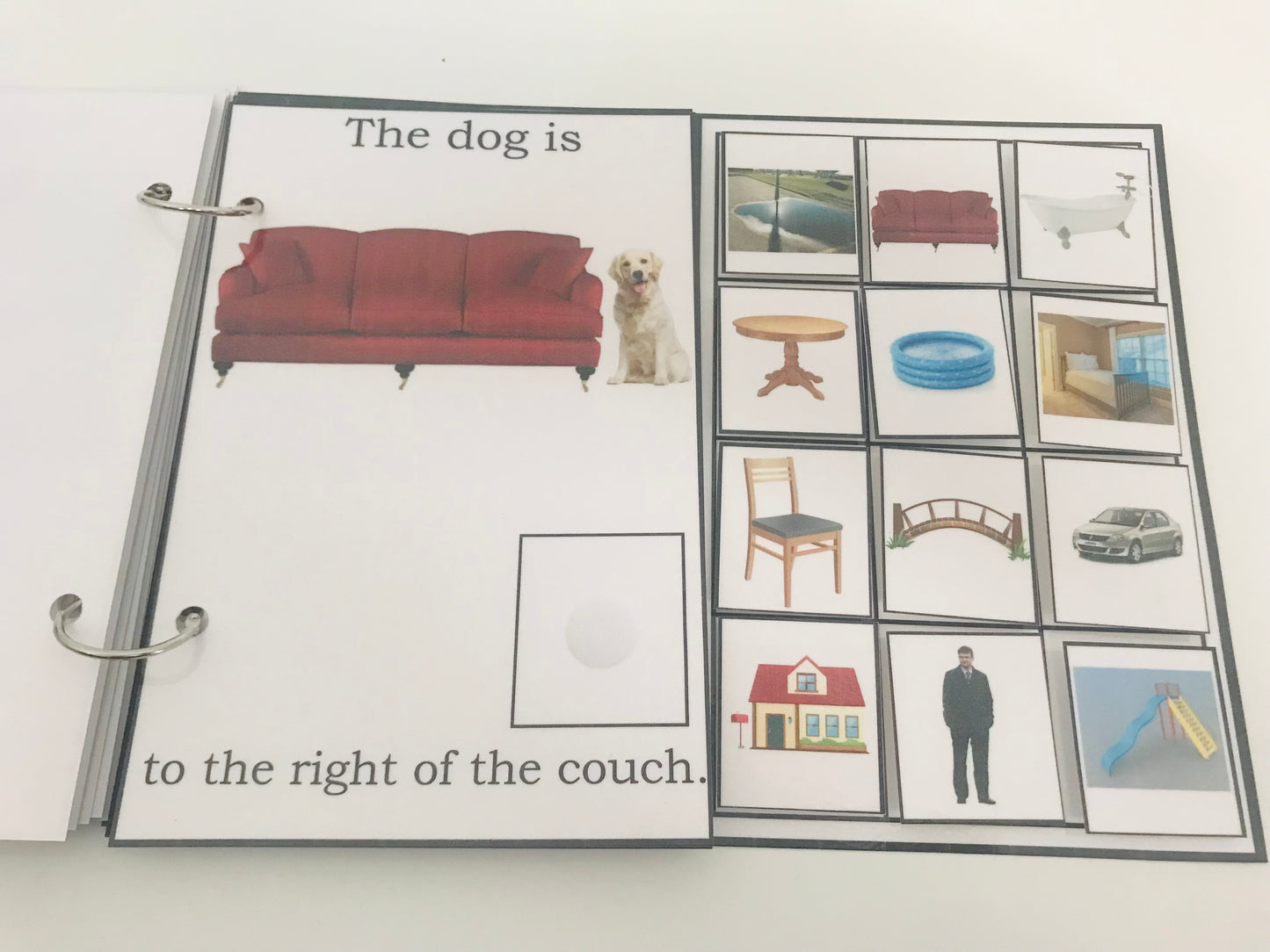 Where Is the Dog- Interactive Book
