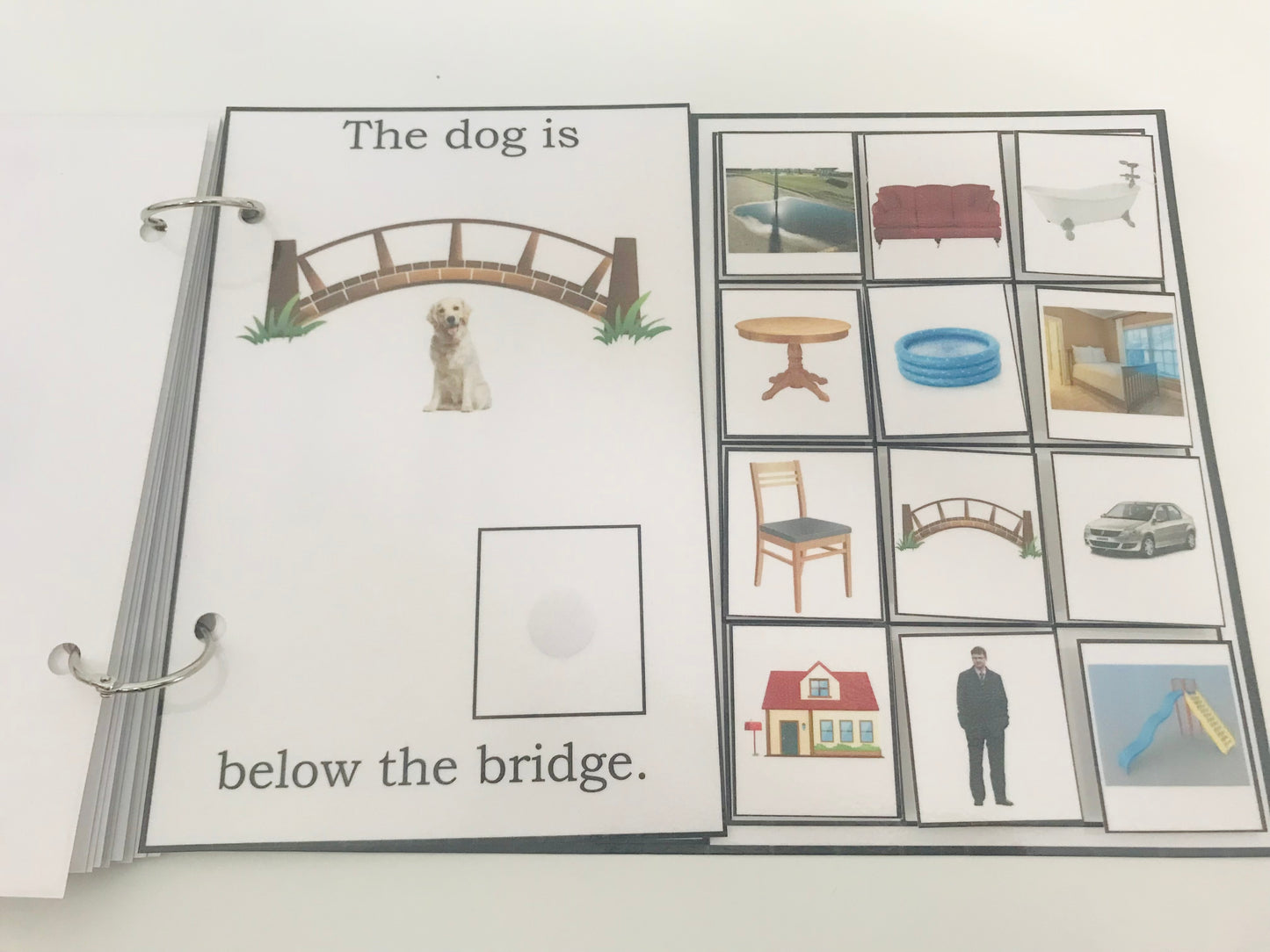 Where Is the Dog- Interactive Book