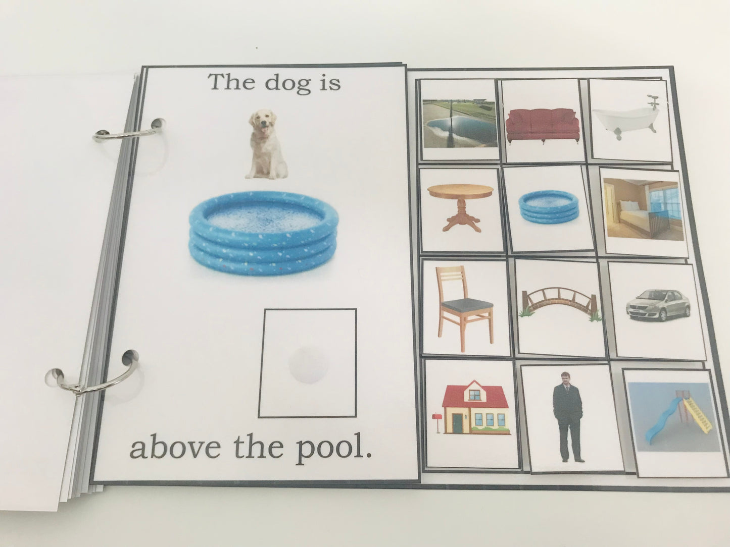 Where Is the Dog- Interactive Book