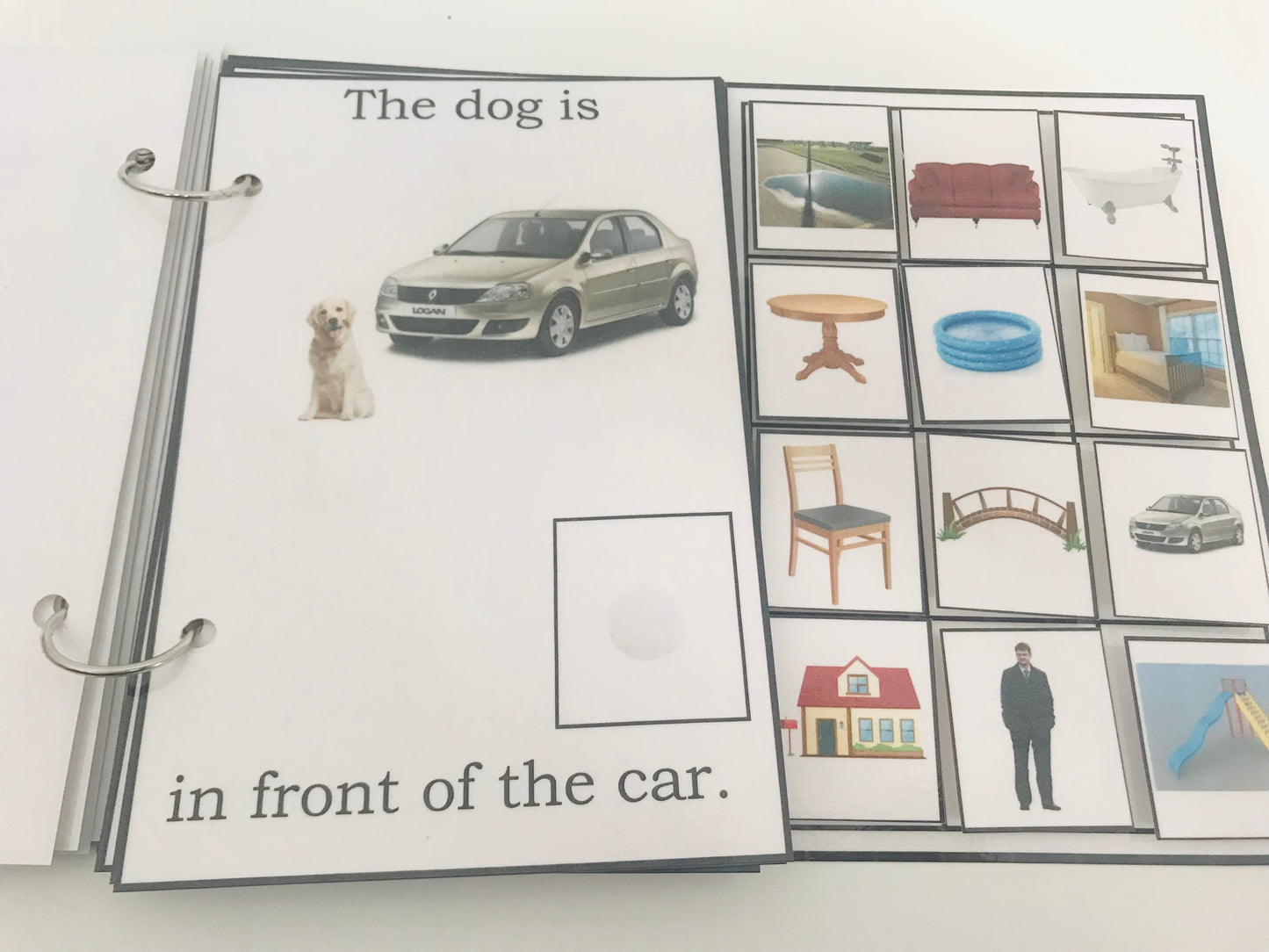 Where Is the Dog- Interactive Book