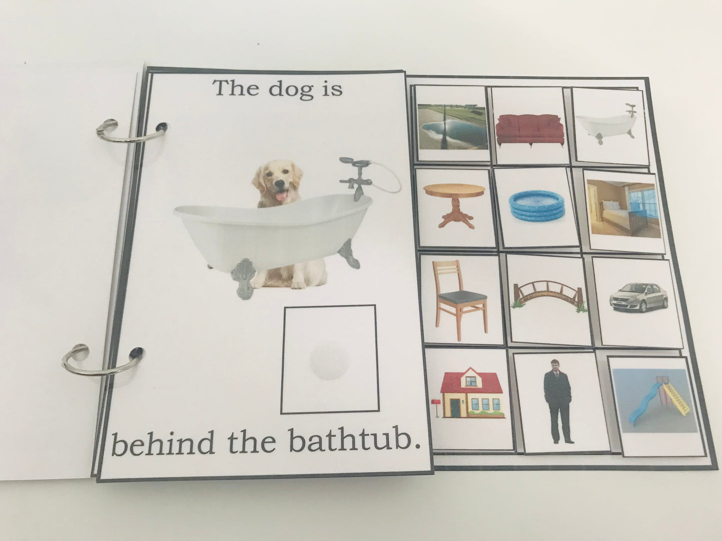 Where Is the Dog- Interactive Book