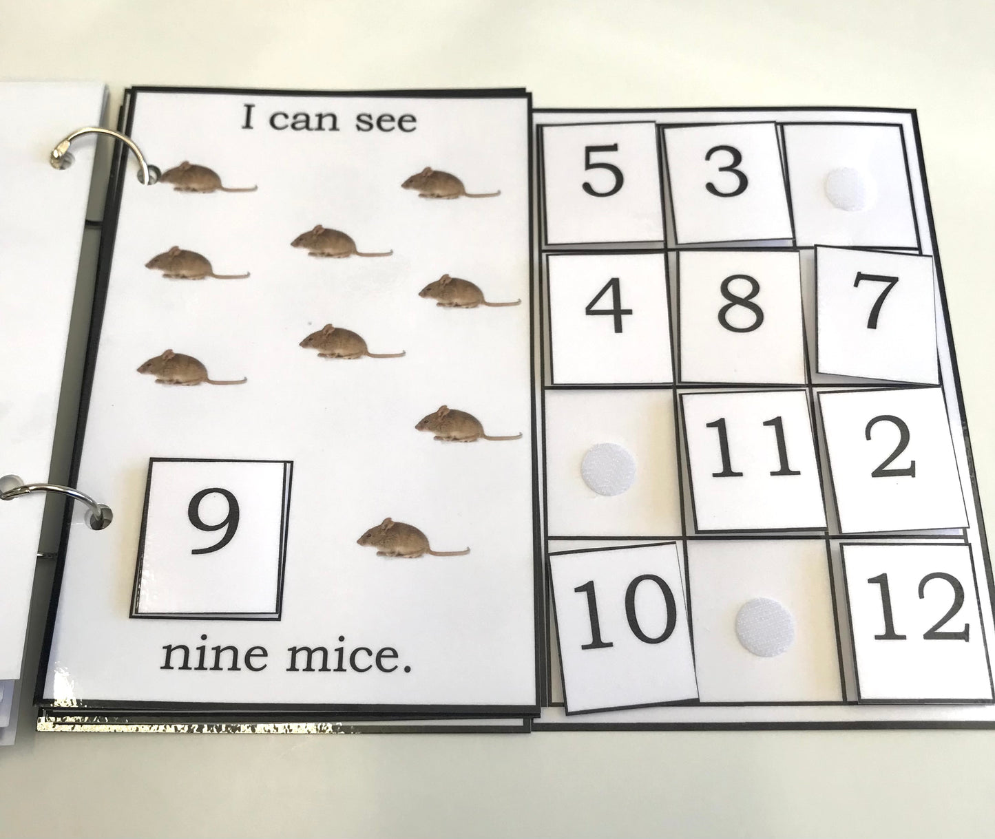 I Can See and Count-Interactive Book
