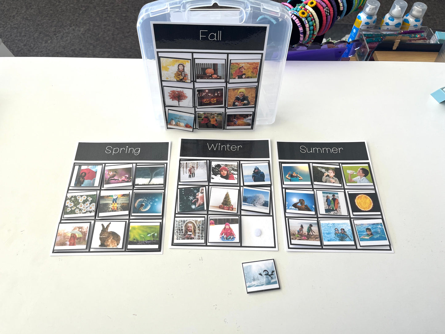 Real Picture Sort Collection