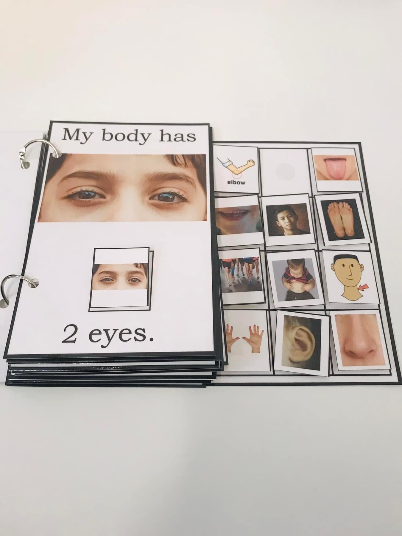 My Body Has Many Parts
