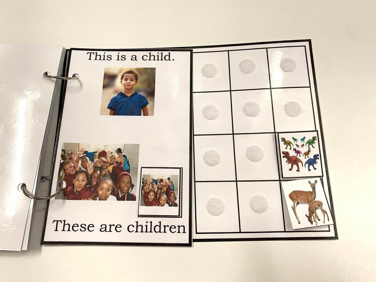 My Book of Plurals-Interactive Book
