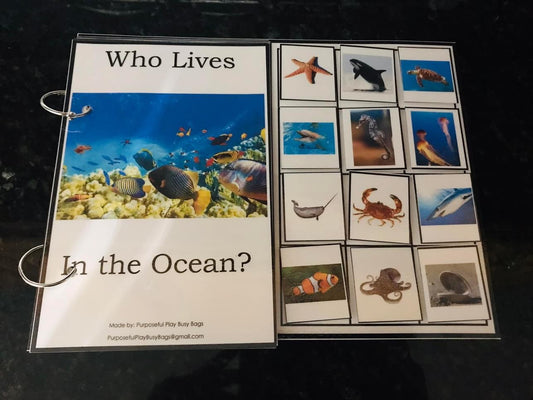 Who Lives in the Ocean