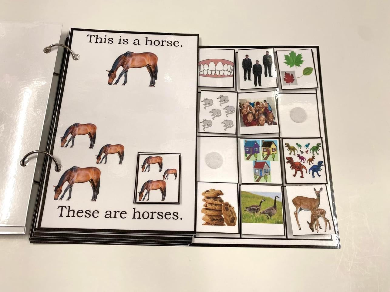My Book of Plurals-Interactive Book