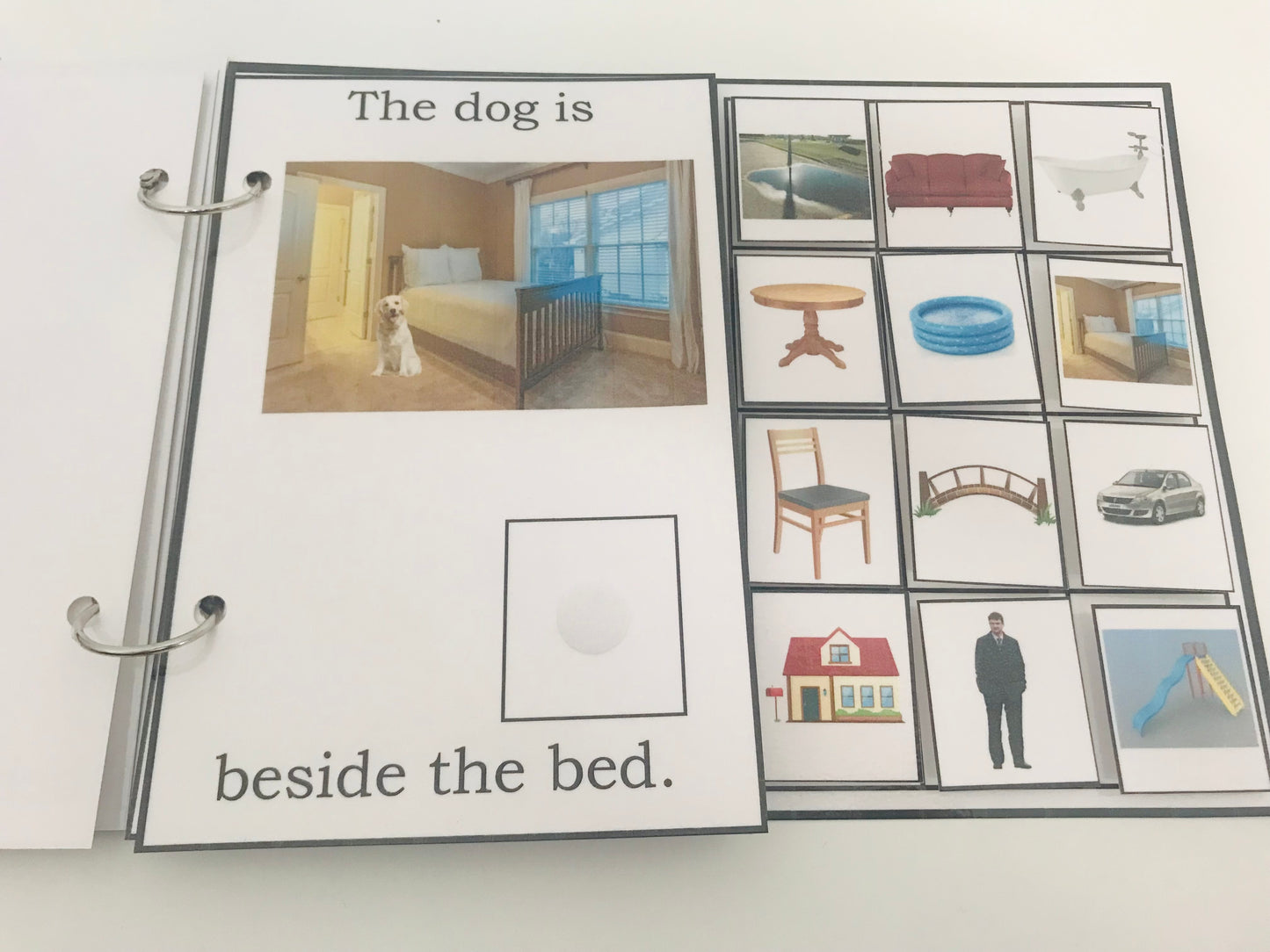 Where Is the Dog- Interactive Book