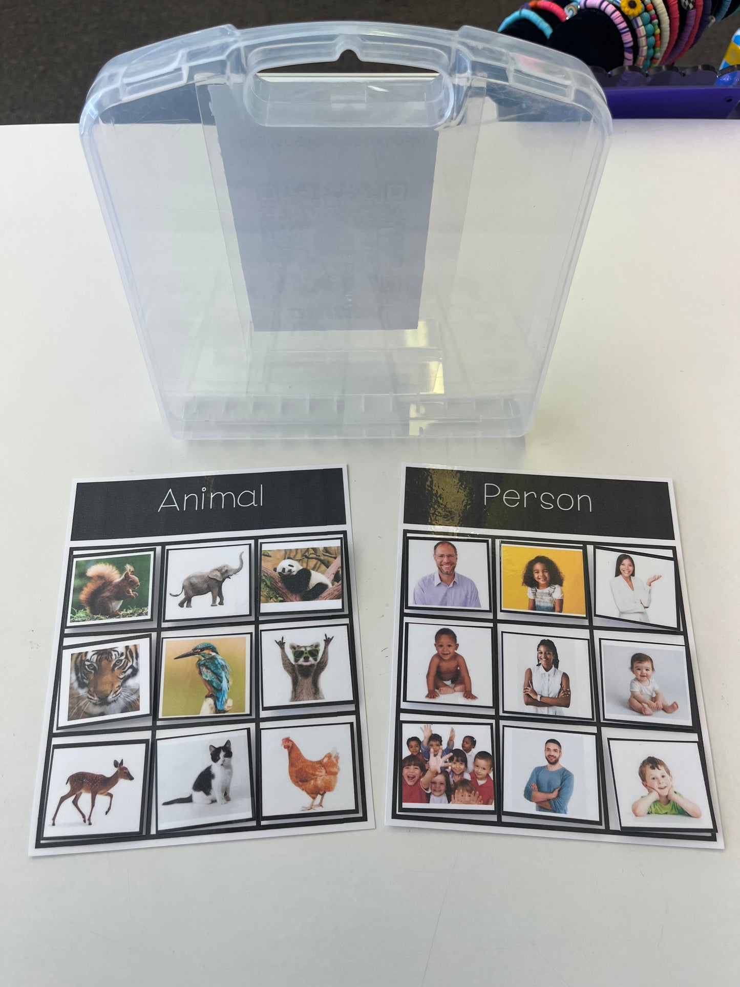 Real Picture Sort Collection
