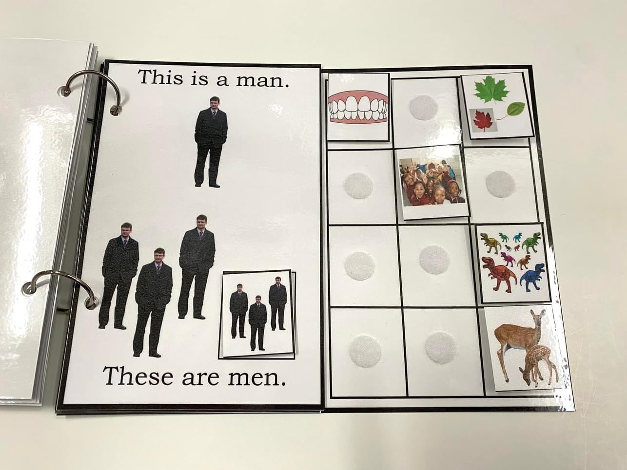My Book of Plurals-Interactive Book