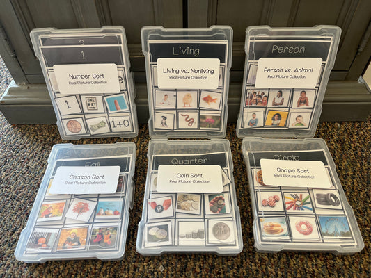 Real Picture Sort Collection