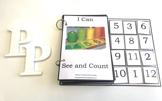 I Can See and Count-Interactive Book
