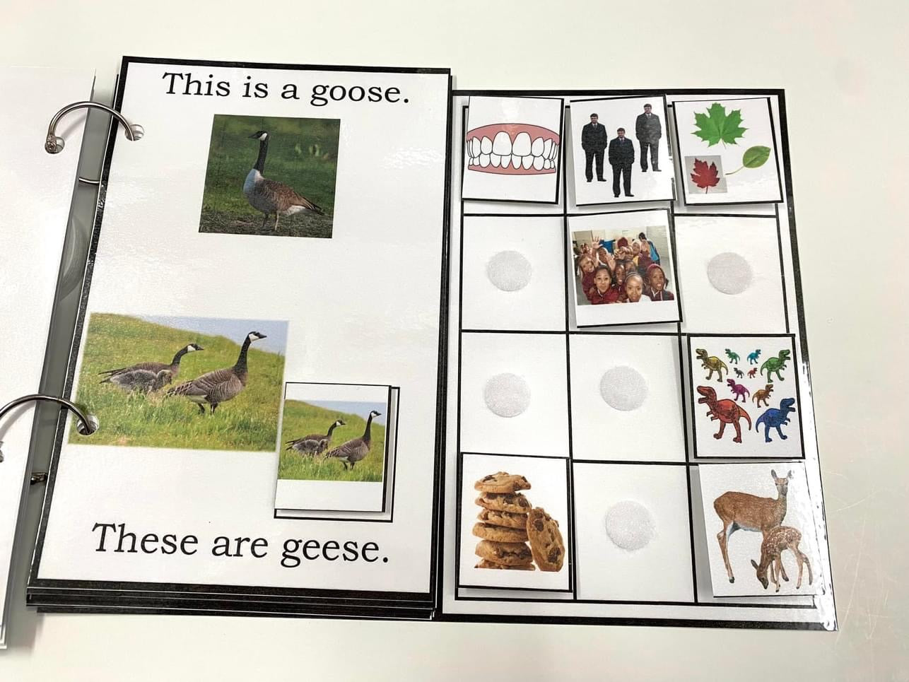My Book of Plurals-Interactive Book