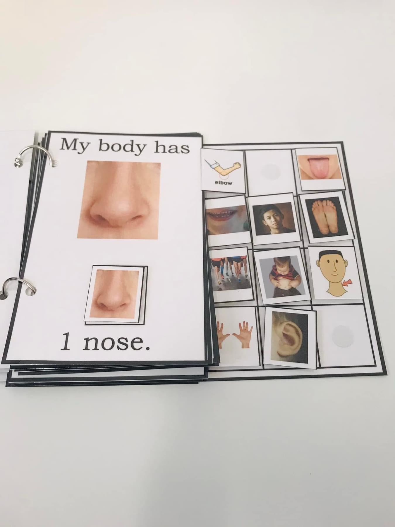 My Body Has Many Parts
