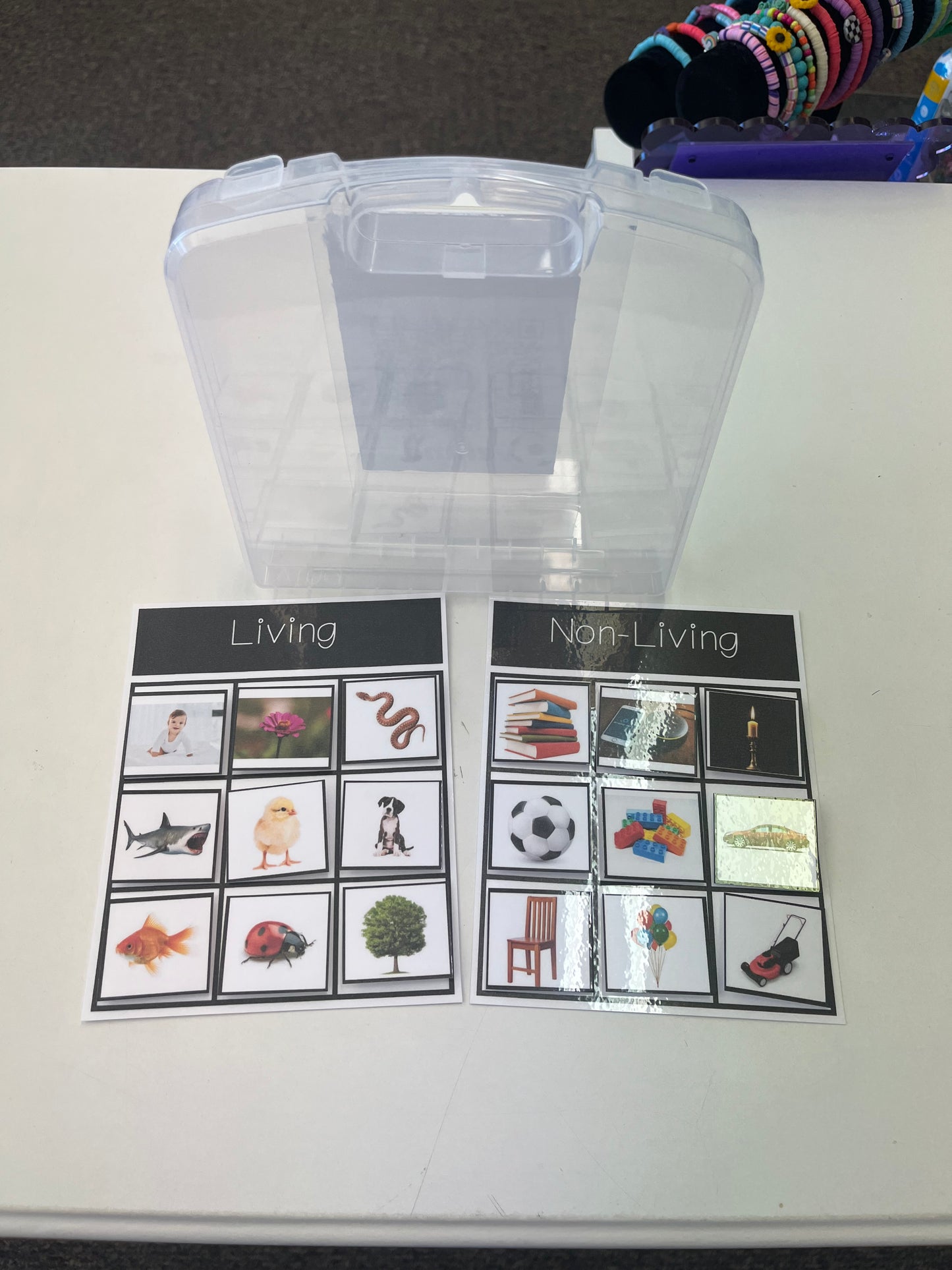 Real Picture Sort Collection