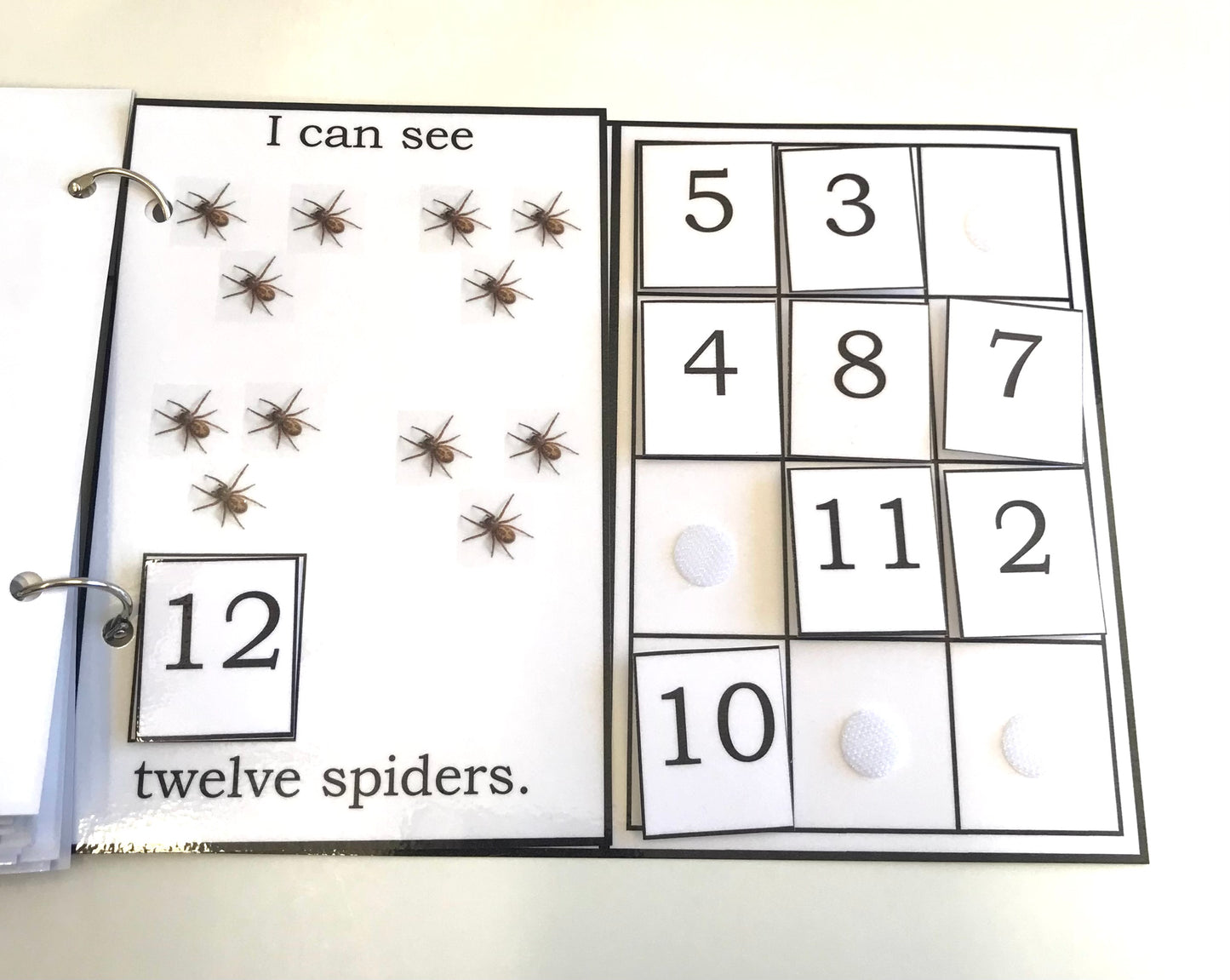 I Can See and Count-Interactive Book
