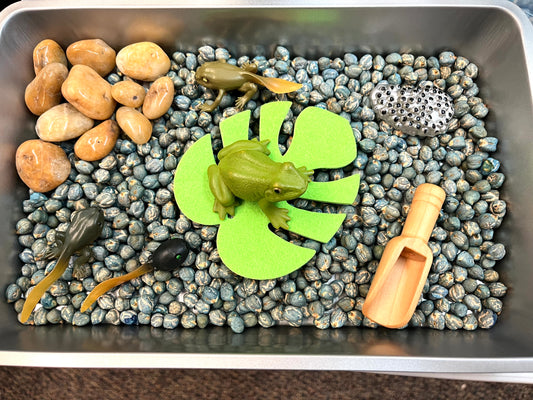 Frog Life Cycle Dump and Play