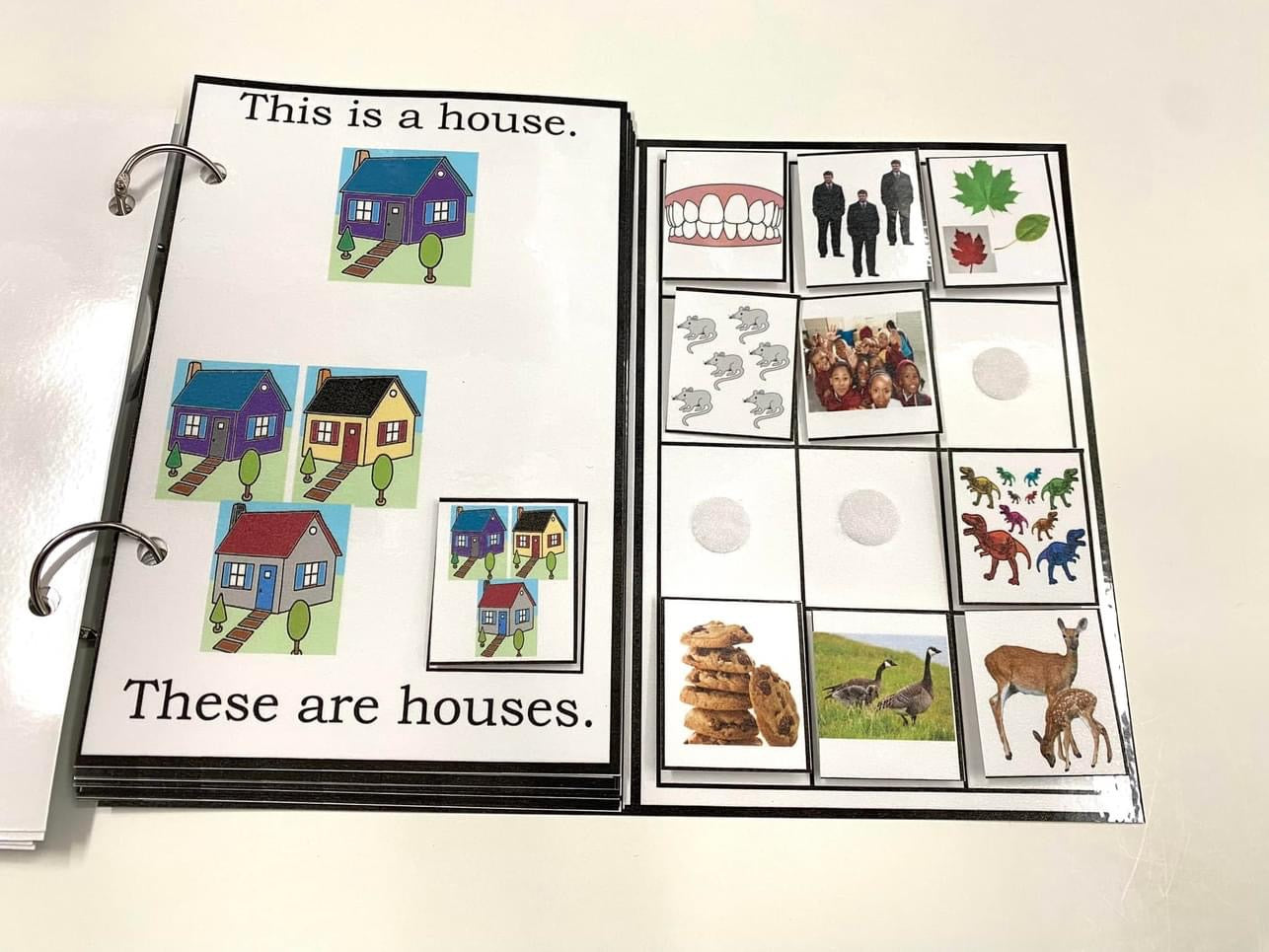 My Book of Plurals-Interactive Book