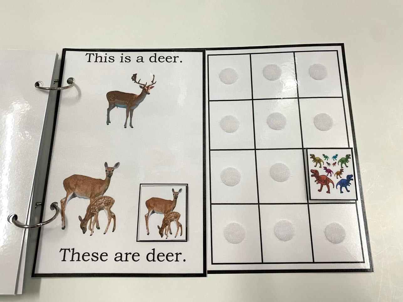 My Book of Plurals-Interactive Book