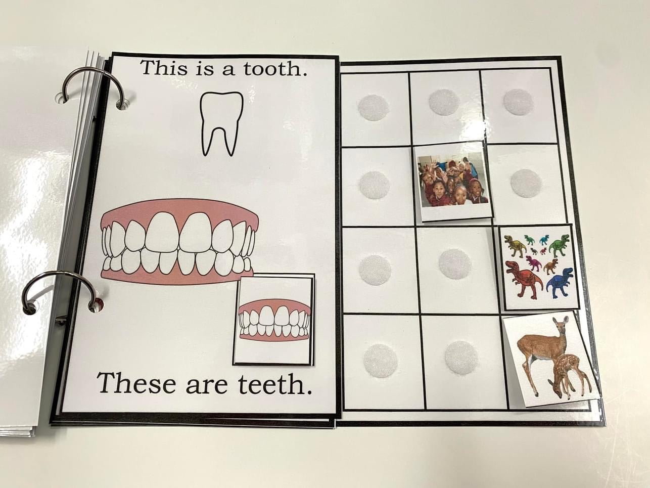 My Book of Plurals-Interactive Book