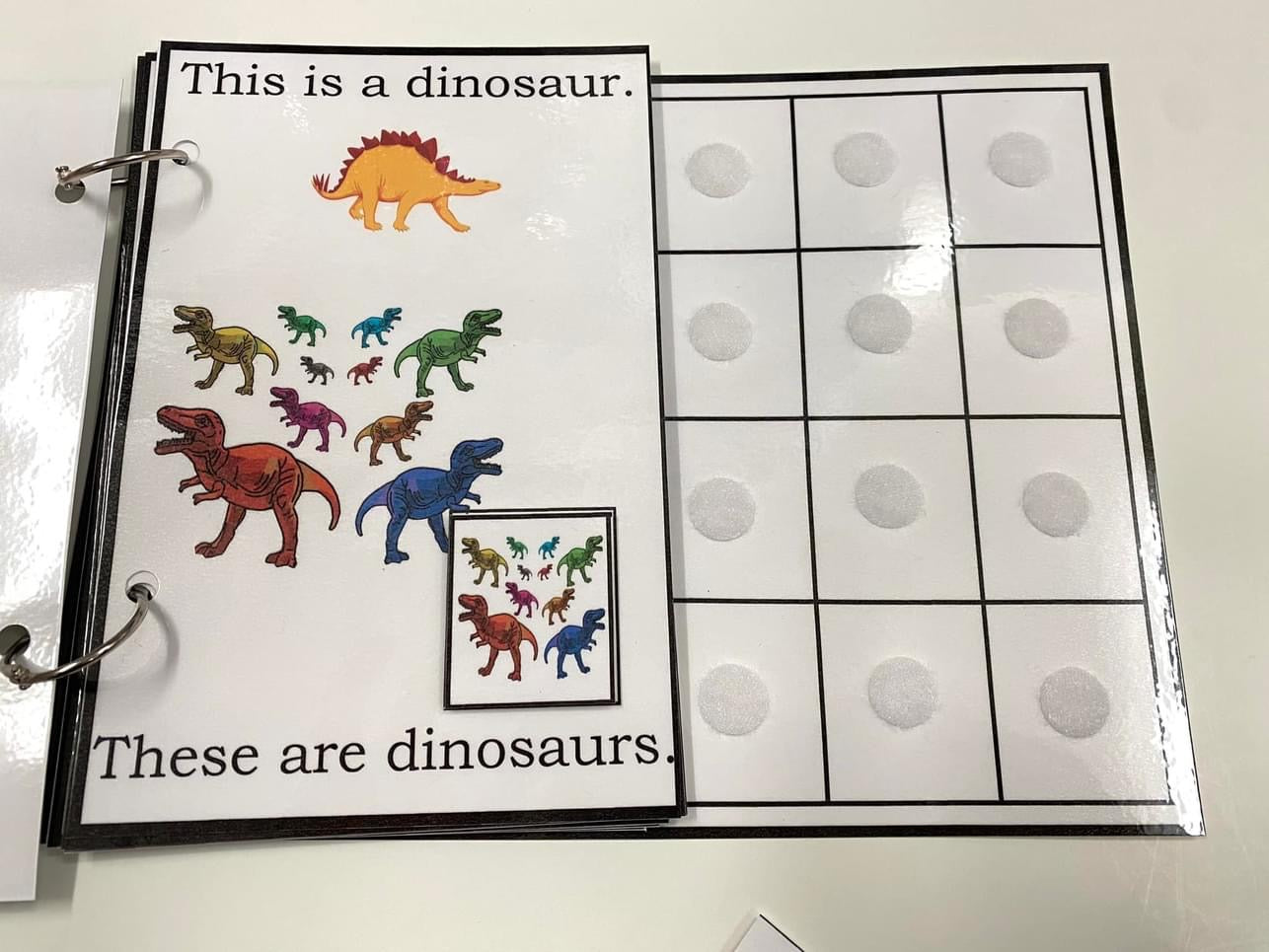 My Book of Plurals-Interactive Book