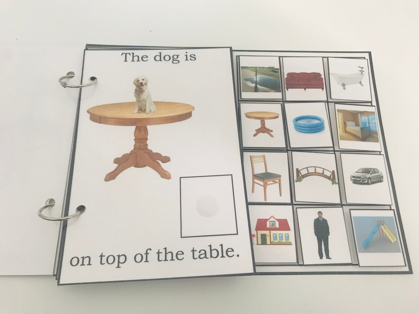 Where Is the Dog- Interactive Book