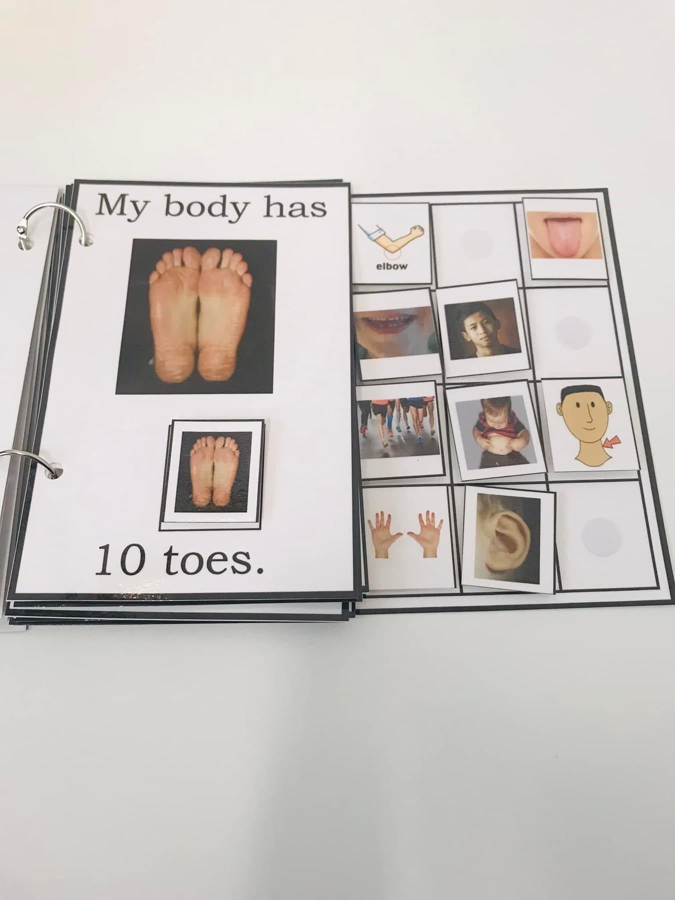My Body Has Many Parts