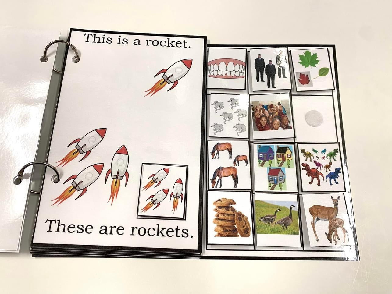 My Book of Plurals-Interactive Book