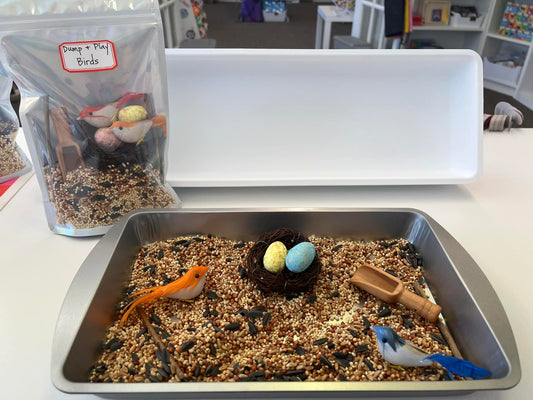 Birds Dump and Play Bag