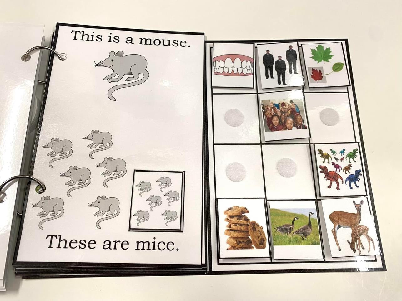 My Book of Plurals-Interactive Book