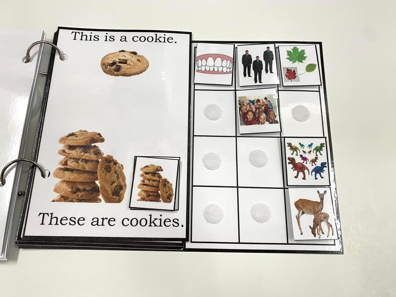 My Book of Plurals-Interactive Book