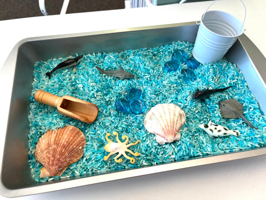 Ocean Dump and Play