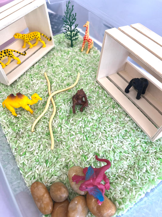 A Day at the Zoo Sensory Bin