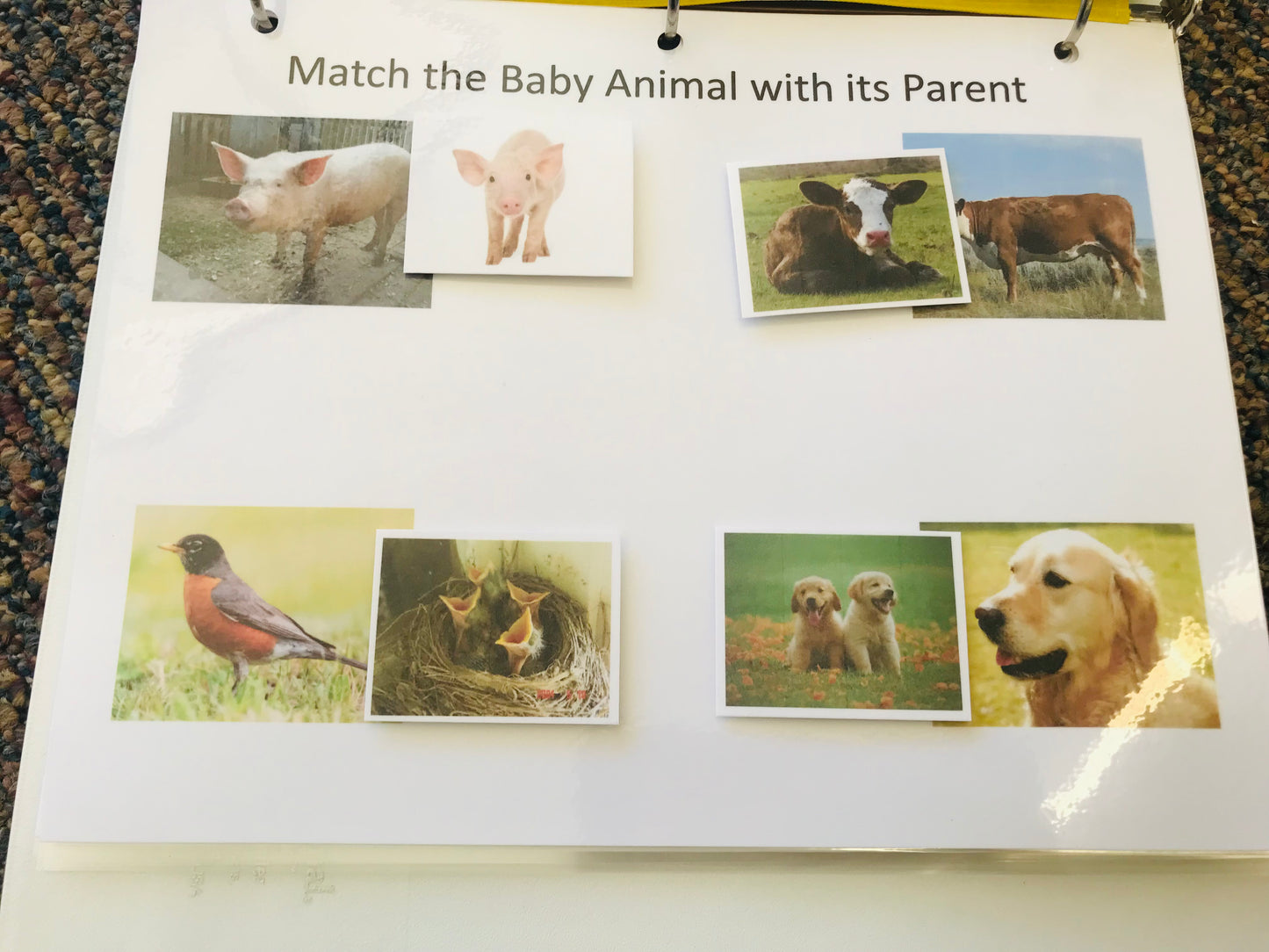 Little People Learning Binder