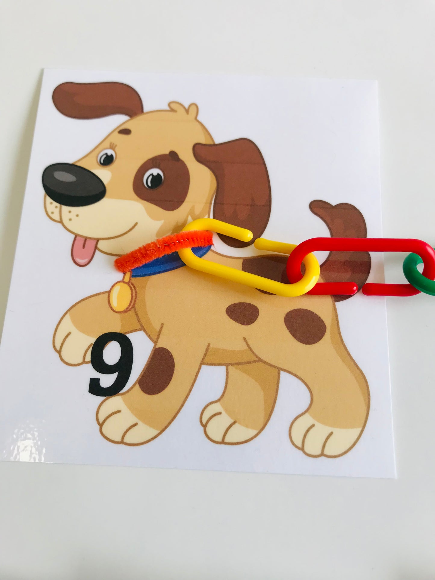 Put Your Dog on a Leash