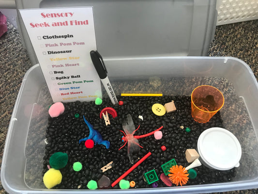 Seek and Find Sensory Bin